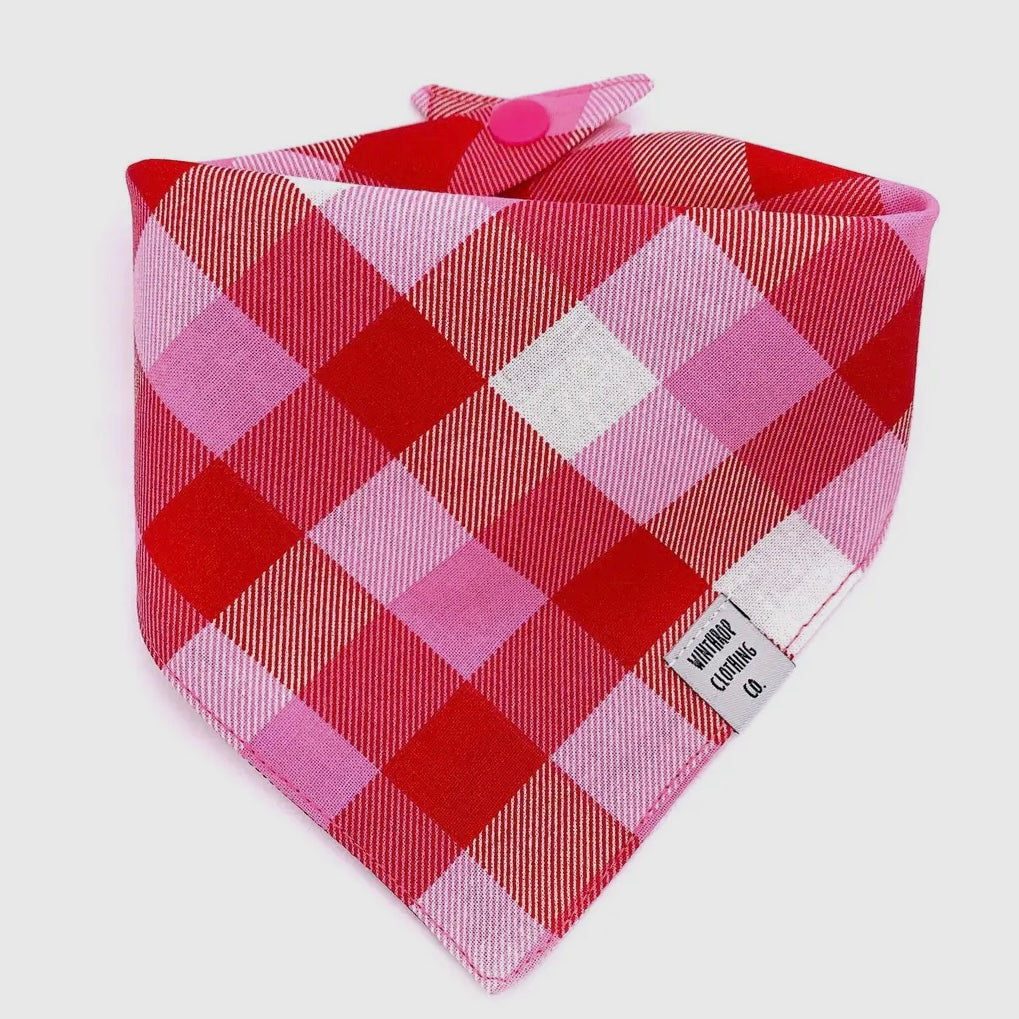 Winthrop Clothing Co. Pink Plaid Dog Bandana