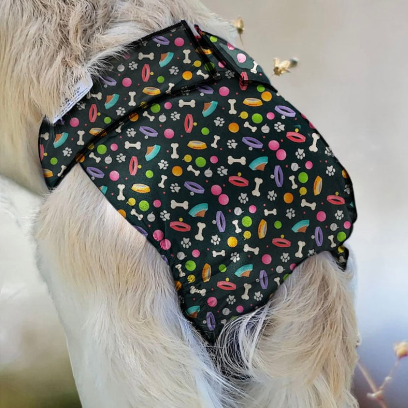 Jack & Jill Dog Diaper