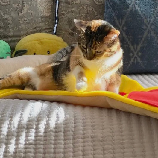 Screaming Pickles Pizza Slice Pet Bed/Mat