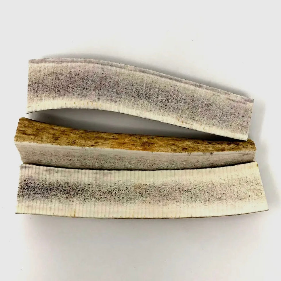 Peaks N Paws Grade A Medium Elk Antler