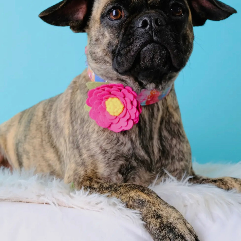 Mimi Green Peony Collar Flower
