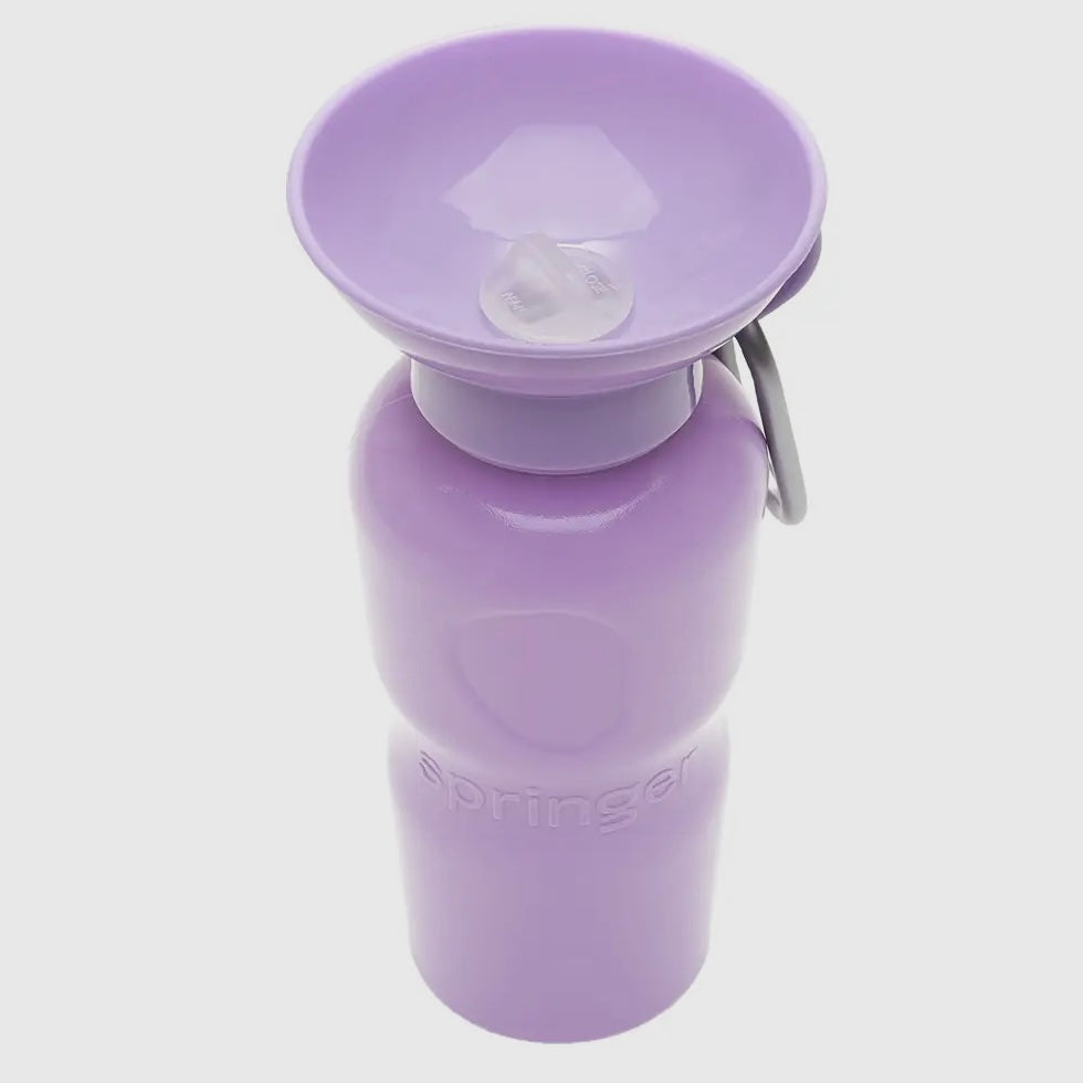Springer 22 oz Leak Tight Classic Travel Bottle