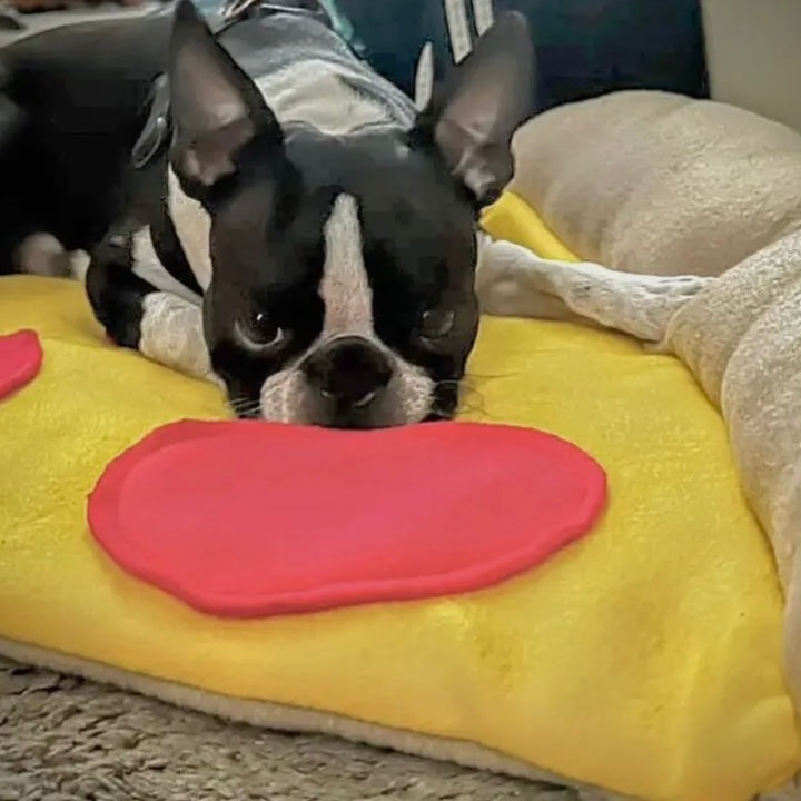Screaming Pickles Pizza Slice Pet Bed/Mat