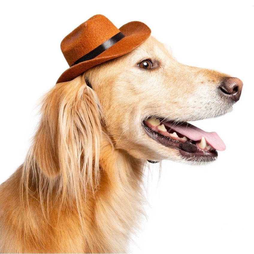 Pet Krewe Cowboy Hat