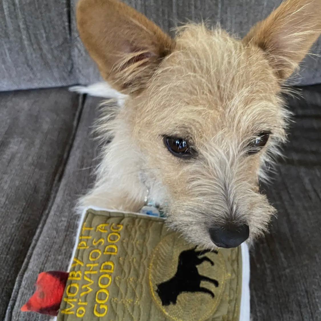 Screaming Pickles Plush Book for Dogs