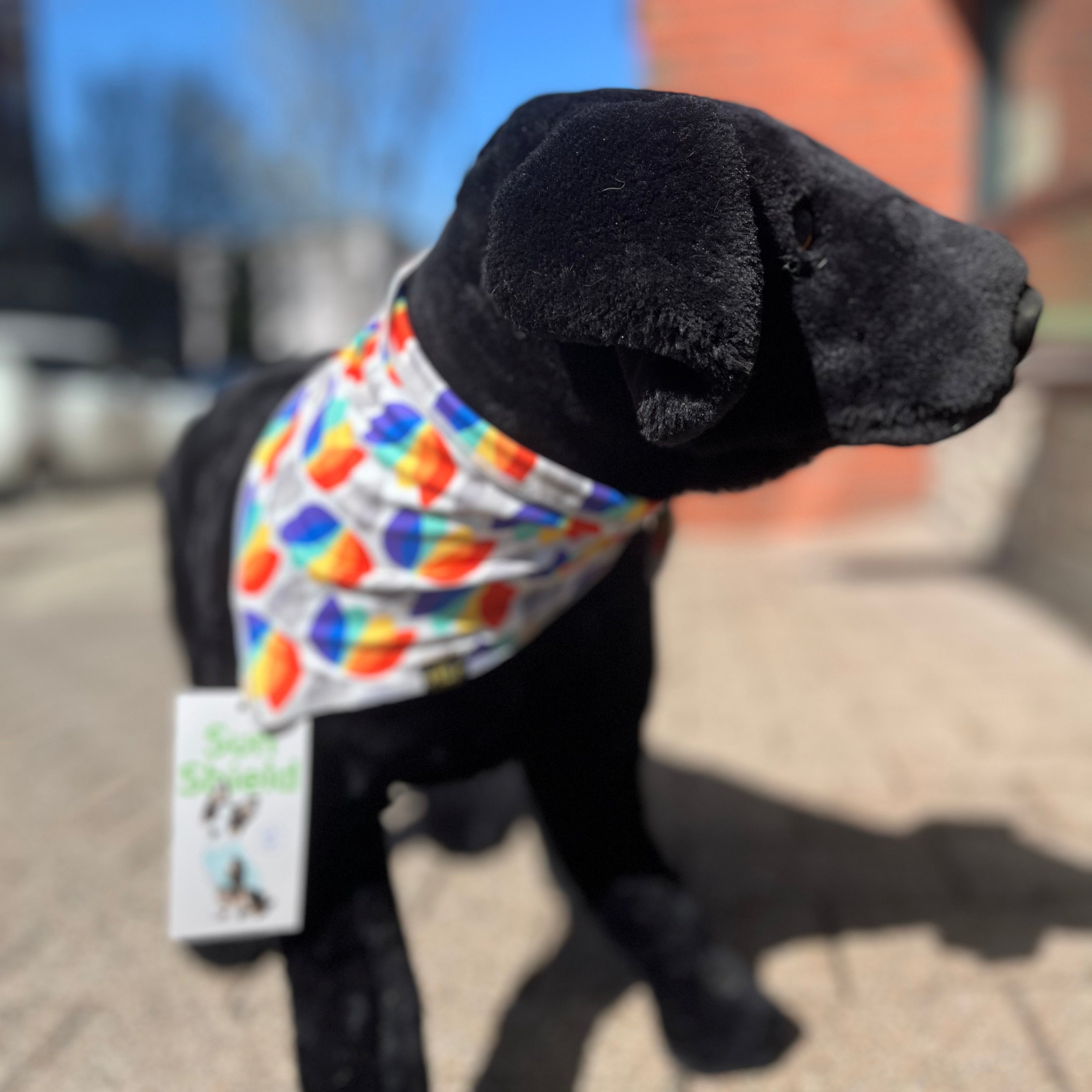 GoldPaw Limited Edition Sun Shield Bandana