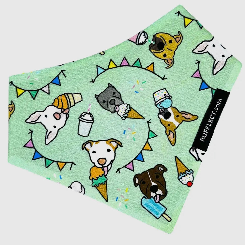 RUFFLECT Pitty Party Bandana