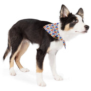 GoldPaw Limited Edition Sun Shield Bandana