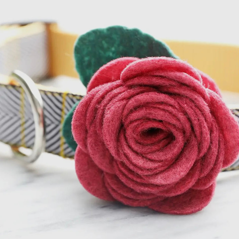 Mimi Green Rose Collar Flower