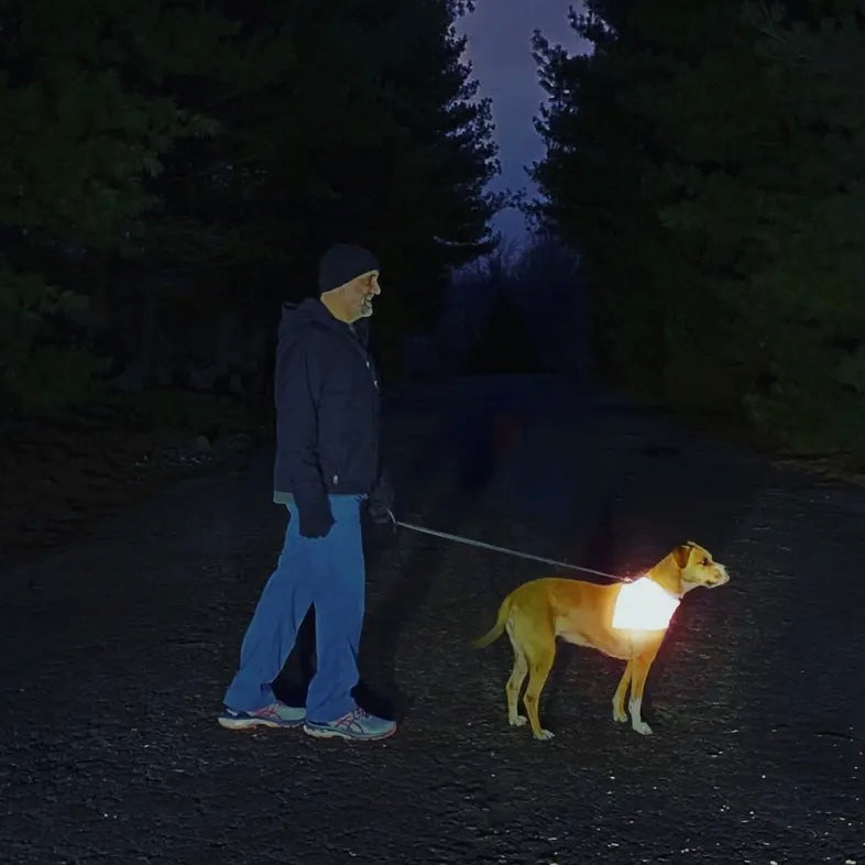 RUFFLECT Light Blue Bees Dog Bandana