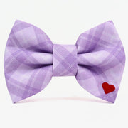 Dubdog Zsa Bow Tie