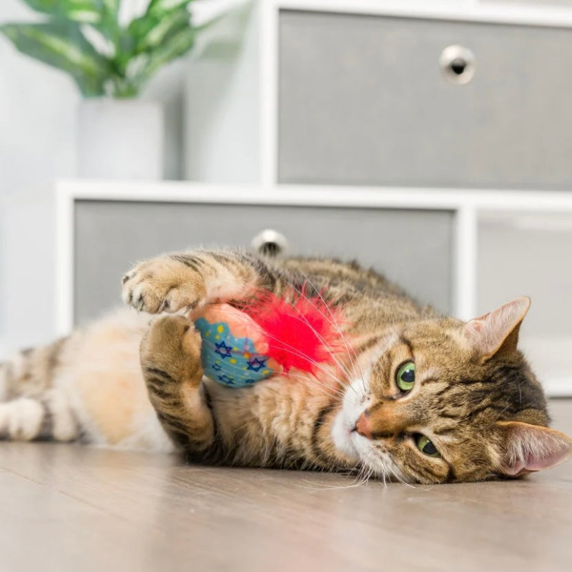 Huxley & Kent Mewchewitz and Jelly Roll/Sufganiyah