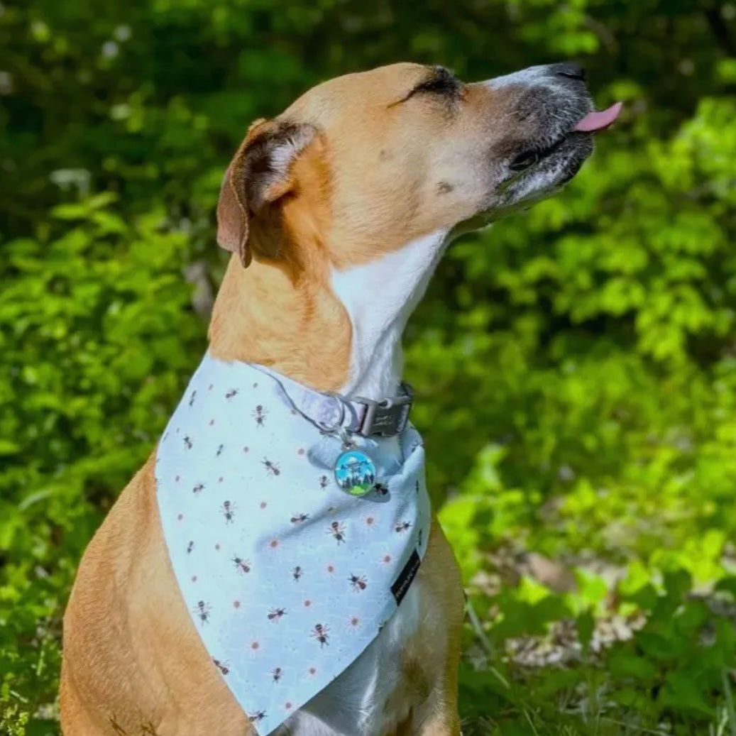 RUFFLECT Light Blue Bees Dog Bandana