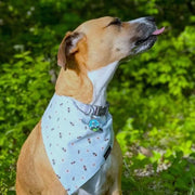 RUFFLECT Light Blue Bees Dog Bandana