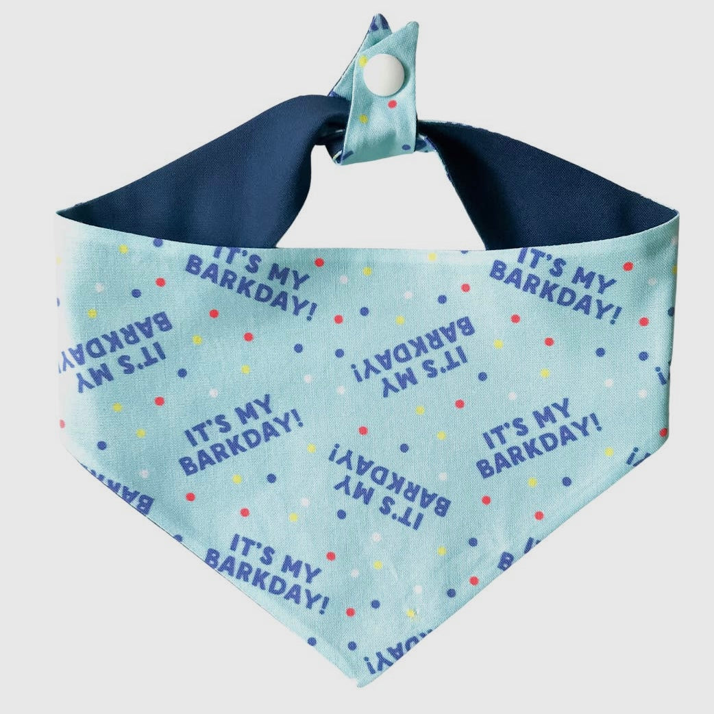 Winnie and the Hound Bark Day/ HBD Bandana