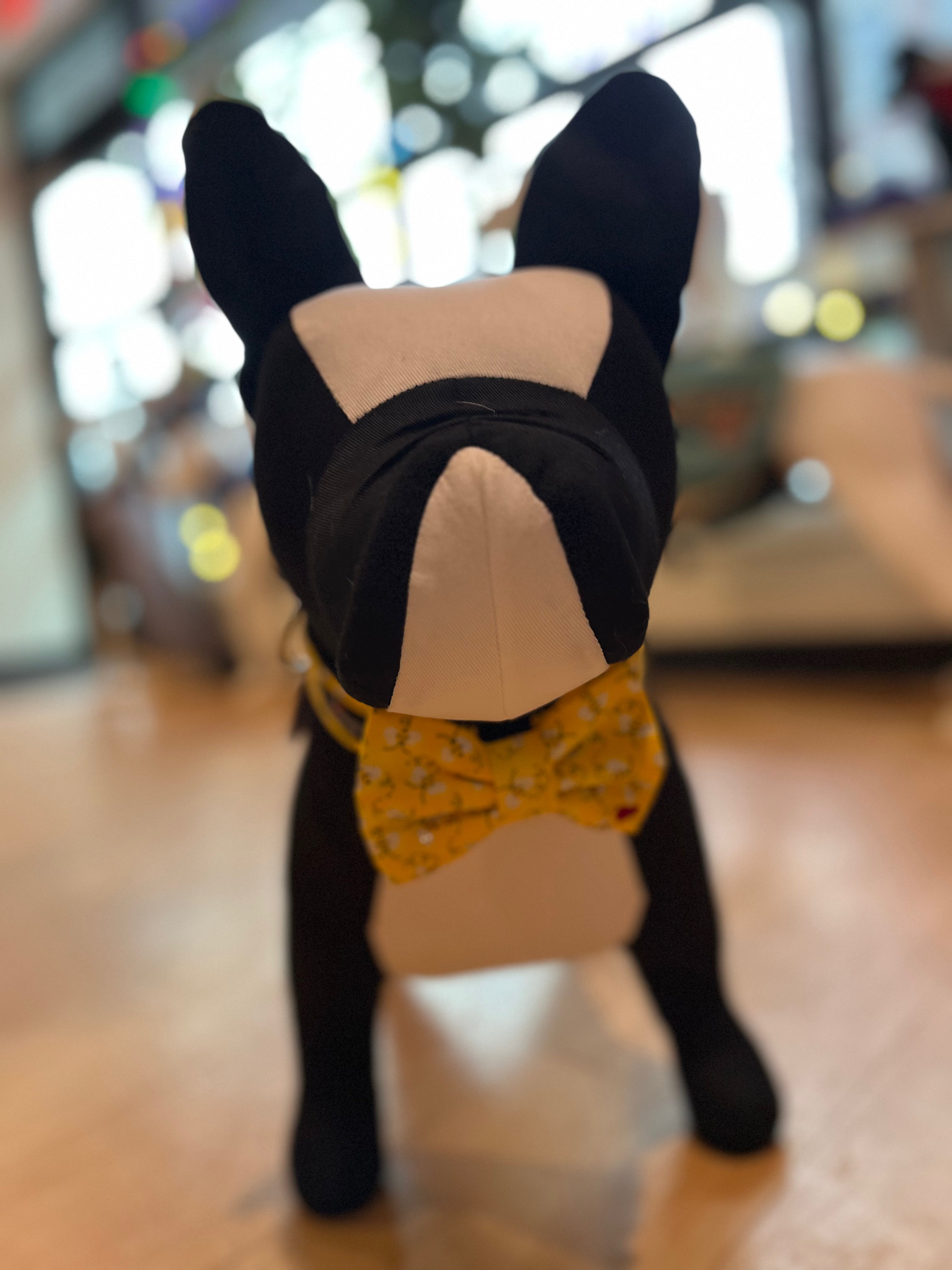Dubdog Designs "Buzz" Bow Tie Collar