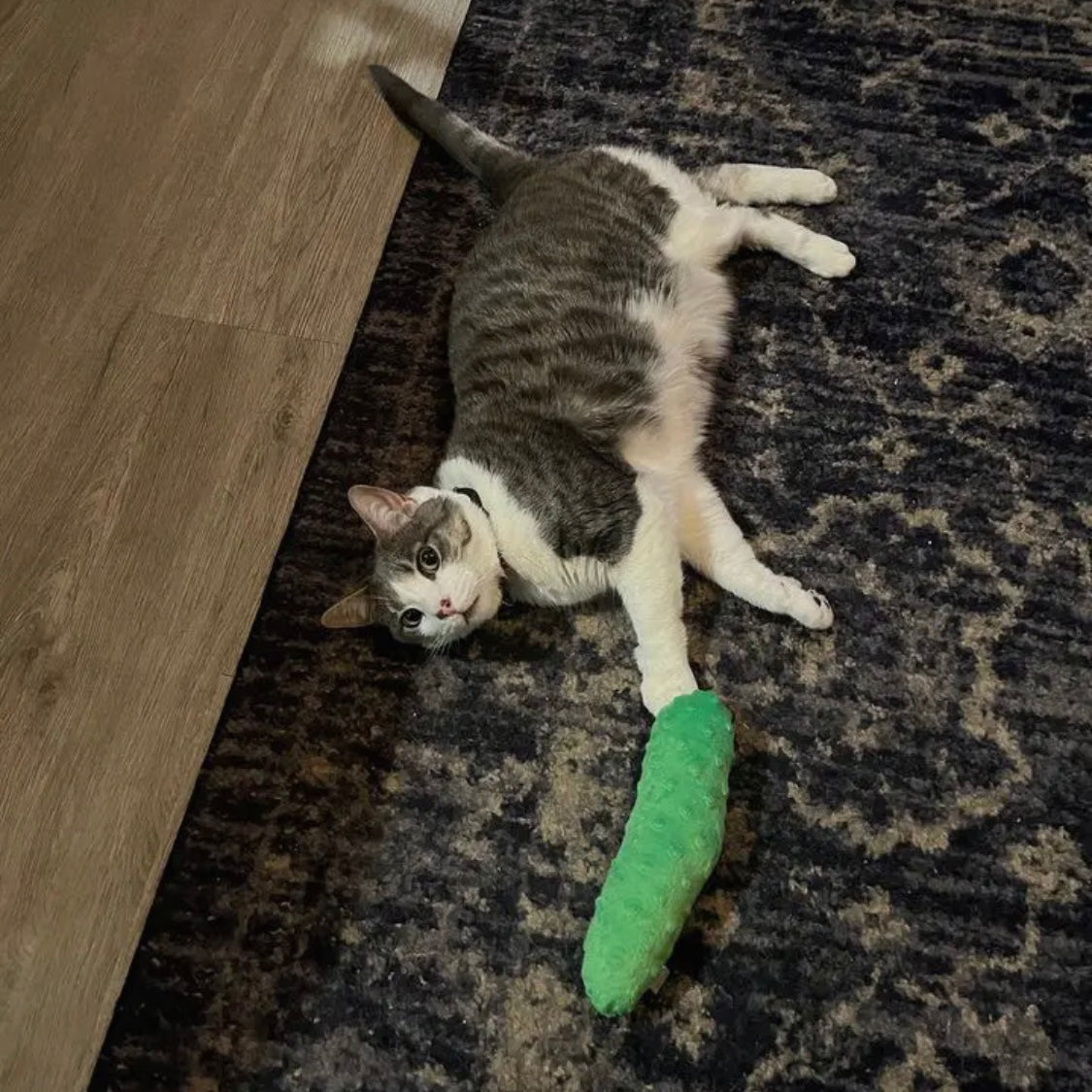 Screaming Pickles Double Stuffed Pickle Catnip Kicker