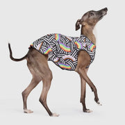 Limited Edition GoldPaw Sun Shield Tee