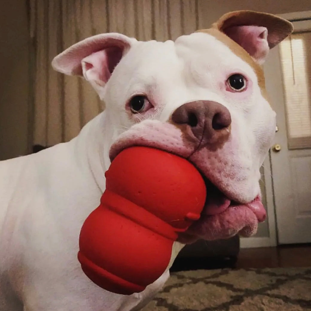 SodaPup Snowman Treat Toy