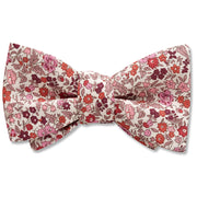Gardner (Liberty of London) - bow ties