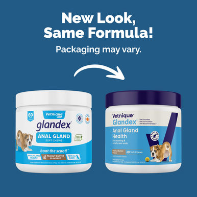  60 Count Peanut Butter Glandex Dog Chews