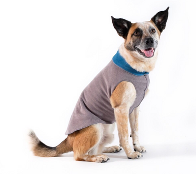 Gold Paw Double Fleece Charcoal & Marine Size 08