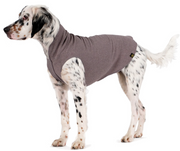 Gold Paw Fleece Charcoal Size 10 by Pet Food Warehouse