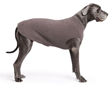 Gold Paw Fleece Charcoal Size 30