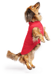 Gold Paw Fleece Red Size 12