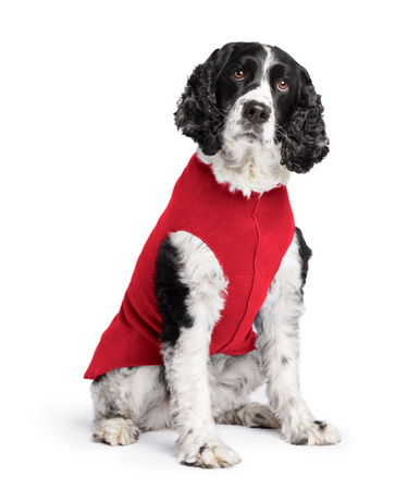 Gold Paw Fleece Red Size 20
