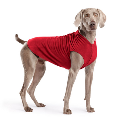 Gold Paw Fleece Red Size 22