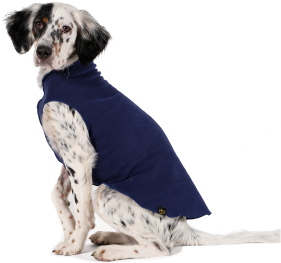 Gold Paw Fleece Navy Size 28