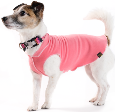 Gold Paw Fleece Coral Size 26