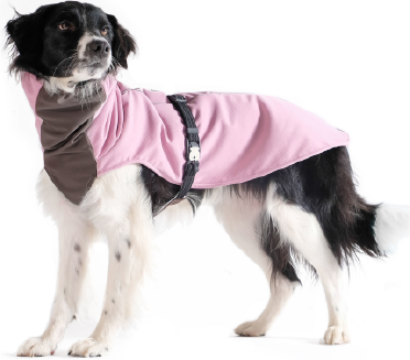 Gold Paw Winter Paw Jacket Lilac Size 26
