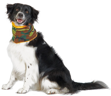 Gold Paw Snood Camo & Blaze Orange Large