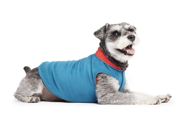 Gold Paw Double Fleece Marine & Paprika Size 12