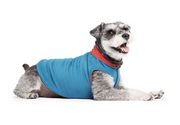 Gold Paw Double Fleece Marine & Paprika Size 26