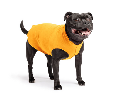 Gold Paw Fleece Cheddar Size 16