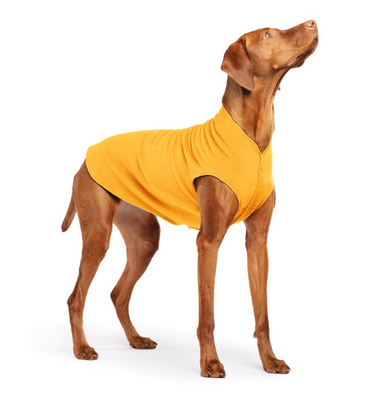 Gold Paw Fleece Cheddar Size 18