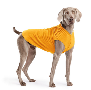 Gold Paw Fleece Cheddar Size 22