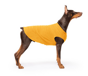 Gold Paw Fleece Cheddar Size 24