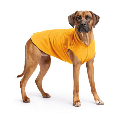 Gold Paw Fleece Cheddar Size 26