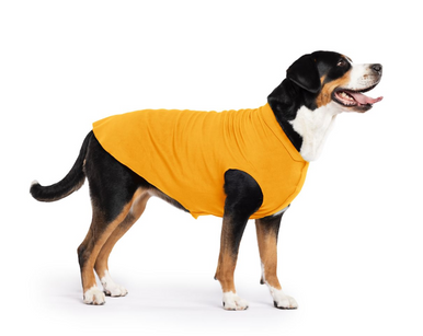 Gold Paw Fleece Cheddar Size 28