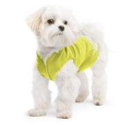 Gold Paw Fleece Avocado Size 08
