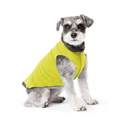 Gold Paw Fleece Avocado Size 10