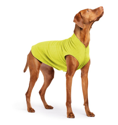 Gold Paw Fleece Avocado Size 18
