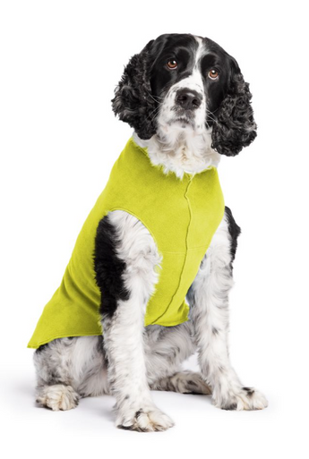 Gold Paw Fleece Avocado Size 20