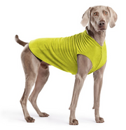 Gold Paw Fleece Avocado Size 22