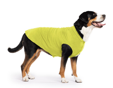 Gold Paw Fleece Avocado Size 28