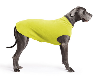Gold Paw Fleece Avocado Size 30